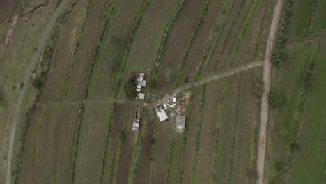 Crops-Growing-on-Local-Farm-in-Mexico,-Aerial-Top-Down-View