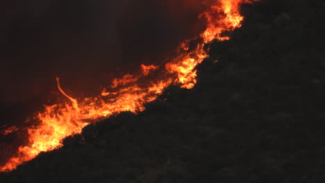 Enorme-Incendio-Quemando-árboles-Y-Bosques-En-California