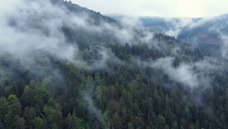 Aerial-side-view-of-a-dark-mountain-forest-with-big-moody-white-clouds,-in-Vosges,-France,-4K