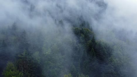 Vista-Aérea-Ascendente-De-Un-Oscuro-Bosque-De-Montaña-Con-Grandes-Nubes-Blancas-Cambiantes-Que-Se-Mueven-Rápidamente,-En-Vosges,-Francia,-4k