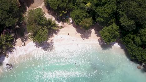 Drone-Video-Of-Boston-Beach-Portland-Jamaica
