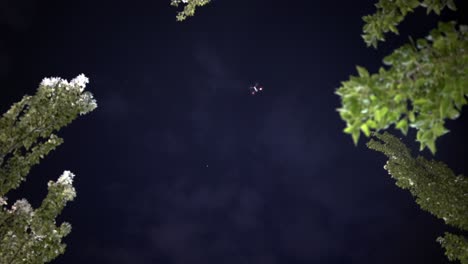 Drone-flying-on-a-night-sky-next-to-some-trees,-view-from-the-ground