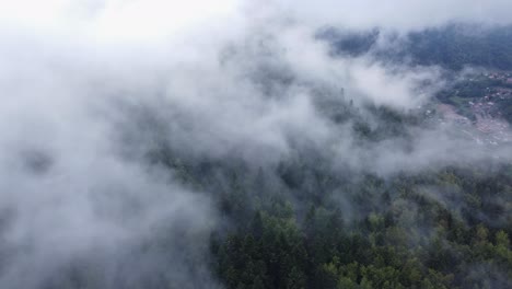 Spectacular-aerial-view-of-a-dark-mountain-forest-with-trees-emerging-from-big-white-clouds,-in-Vosges,-France,-4K