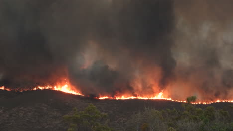 Wildfire-raging-and-burning-through-forest-in-California