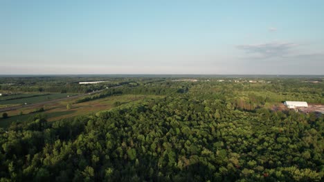 Aerial-drone-wide-footage-over-coniferous-tree-forest-during-evening-time
