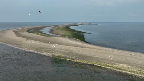 Aerial-view-of-coastal-dunes-on-sandbar-teeming-with-marine-birdlife---important-marine-ecosystem,-Rockanje,-Netherlands