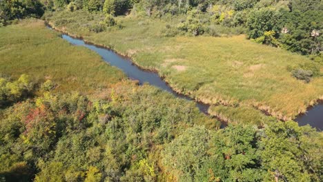 Dolly-Track-of-a-Small-river-on-a-plot-of-hidden-marsh-land-in-Muskegon-Heights