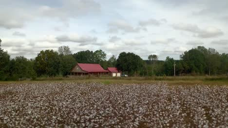 Flug-über-Ein-Baumwollfeld-Im-Süden-Von-Alabama