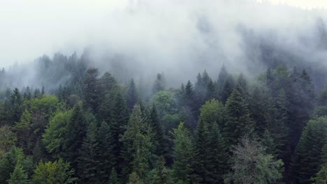 Luftumlaufansicht-Um-Einen-Dunklen-Bergwald-Mit-Großen,-Stimmungsvollen-Weißen-Wolken,-In-Den-Vogesen,-Frankreich,-4k