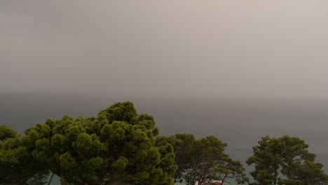 Massive-rain-at-the-shores-of-the-Adriatic-sea-with-Green-Aleppo-Pine-trees-in-the-foreground
