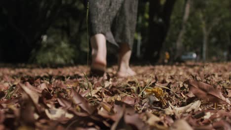 Unidentified-woman-wandering-in-park,-low-angle-shot-in-autumn