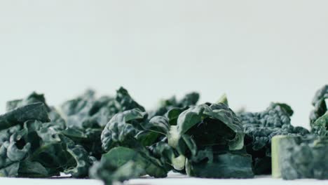 A-handful-of-kale-leaves-fall-in-slow-motion-onto-a-white-tablecloth,-natural-light