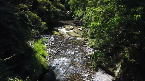 The-Drone-flies-above-a-mountain-stream-and-deeper-into-the-rainforest
