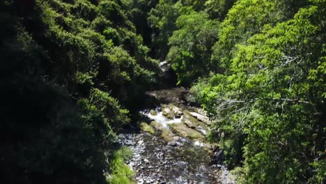Drone-lifts-up-from-mountain-stream-and-slowly-tilts-up-to-reveal-surrounding-rainforest