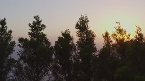 Aerial---Sunset-reveal-behind-trees-in-Keri,-Zakynthos,-Greece