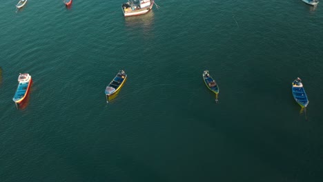 Drone-flight-revealing-several-wooden-little-boats-docked-on-sea-in-big-marina-bay