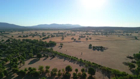 4K-aerial-image-with-drone-in-the-Campo-de-Madrid-La-Devesa-in-Spain-rural-road
