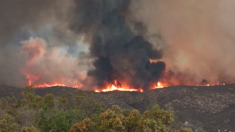 Wide-shot-of-extreme-forest-fire-in-California-during-heatwave-season---Dark-toxic-fumes-rising-into-sky---environment-catastrophe-on-earth
