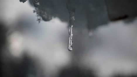 Dripping-icicle-in-winter-in-switzerland