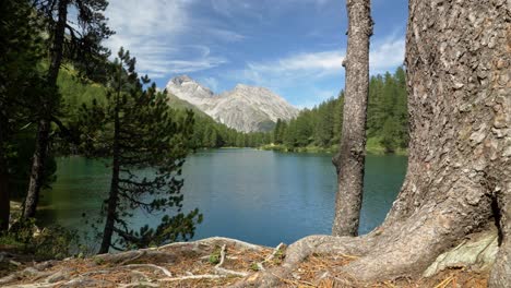 Small-mountain-lake-in-Switzerland-in-summer