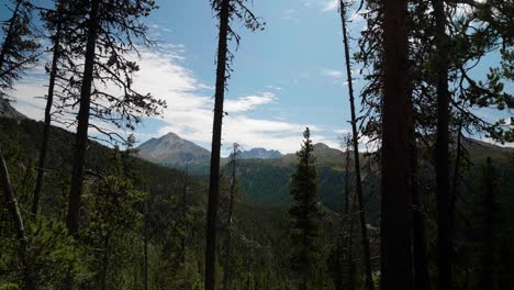 View-through-the-trees-of-a-forest-to-a-small-mountain-range
