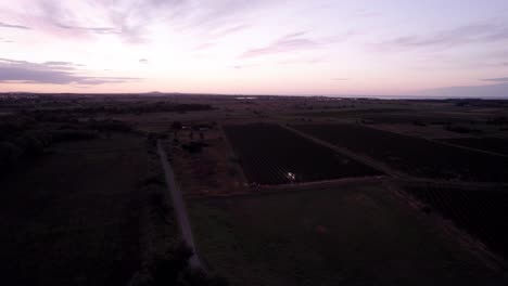 Panorama-Aéreo-De-Tierras-De-Cultivo-Llenas-De-Uvas-En-El-Sur-De-Francia