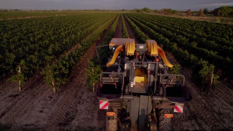 Aerial:-special-truck-used-for-harvesting-grapes.-