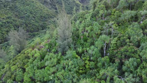 Costa-Norte-De-La-Isla-De-Hawaii-Kauai-Por-Drone-4k-3