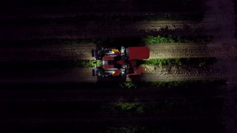 Working-farmers-with-trucks-in-the-early-morning-darkness,-harvesting-grapes-in-southern-France