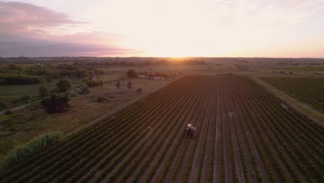 Aerial:-farmers-working-in-big-field-at-sunrise-in-southern-France