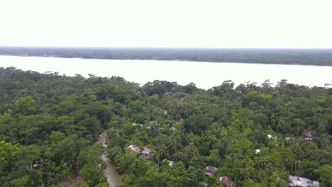 Aerial-Flying-Over-Tropical-Rainforest-With-Wide-River-In-Background