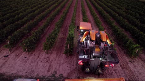 Aerial:-farmers-harvesting-the-grapes-in-southern-France