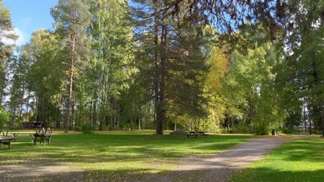 Schwenk-Eines-Städtischen-Waldes-Mit-Gelben-Bäumen-Und-Gras