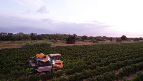 Farm-machine-used-to-get-grapes-from-the-fields