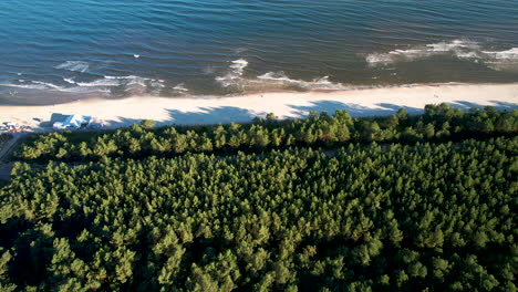 Aerial-flyover-dense-forest-trees-and-sandy-beach-with-tranquil-Baltic-Sea-in-summer---Poland,Europe