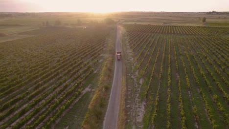 Aerial:-Tractor-driving-fast-through-the-fields-of-grapes-in-southern,-France