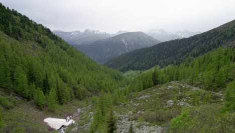 Aerial-drone-footage-slowly-rising-up-and-tiliting-down-to-reveal-a-forested-mountain-landscape-with-slopes-covered-in-larch-and-spruce-trees-with-patches-of-snow-in-Switzerland
