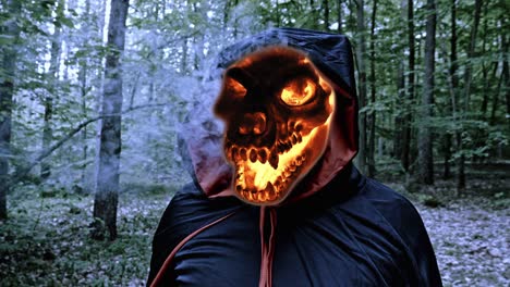 Portrait-Of-Creepy-Grim-Reaper-In-Black-Hooded-Robe-With-Flaming-Animal-Skull,-Isolated-In-The-Forest