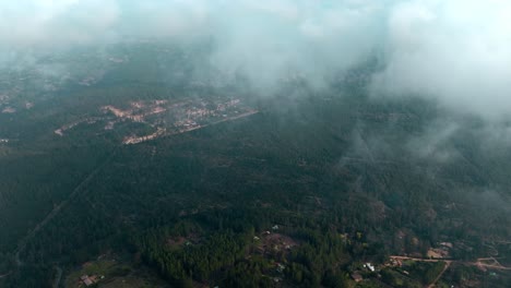 Aerial-view-dolly-in-between-clouds-with-a-pine-forest-in-the-community-of-Totoral-in-the-central-coast-of-Chile