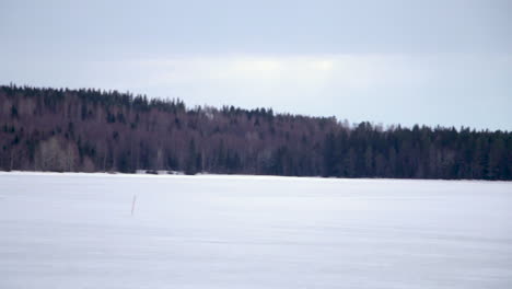 Snow-scene-with-forest-on-the-horizon-in-Vuokatti-Finland,-handheld-with-motion