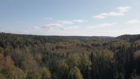 Luftaufnahmen-Abgelegener-Kiefern--Und-Birkenwälder-In-Finnland