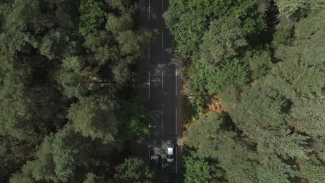 Vertical-bird's-eye-view-of-cars-driving-on-highway-in-rural-forest