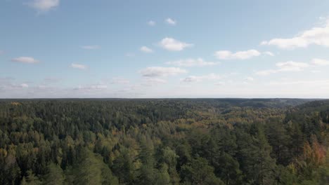 Luftaufnahmen-Abgelegener-Kiefern--Und-Birkenwälder-In-Finnland-1