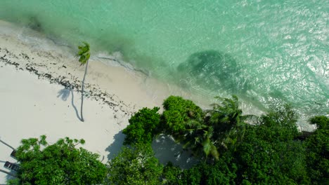 Aerial-Drone-Ascent-Enthüllt-Weißen-Sand-Leeren-Tropischen-Strand-Auf-Der-Maledivischen-Insel-Dhangeti