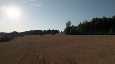Aerial-Footage-of-a-Grain-Field-in-the-Countryside