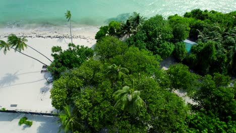 Top-down-view-approaching-seashore-of-tropical-white-sand-beach-with-palms-in-the-Maldives