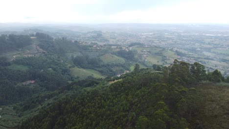 Aerial-view-of-woods-and-houses-in-Asturias