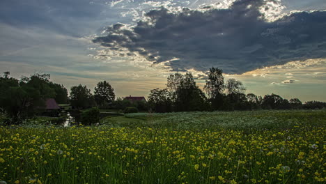 Static-shot-of-white-cloud-movement-in-timelapse-over-a-pond-surrounded-by-wild-white-and-yellow-flowers-during-evening-time