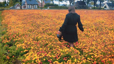 Woman-careful-walk-through-orange-marigold-flower-garden-nursery-The-Netherlands