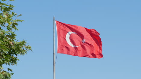 Türkische-Flagge-Gegen-Strahlend-Blauen-Himmel,-Grüne-Blätter-Im-Vordergrund-Slomo